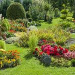 The Fertile Ground: Nurturing Your Garden with the Right Fertilizer