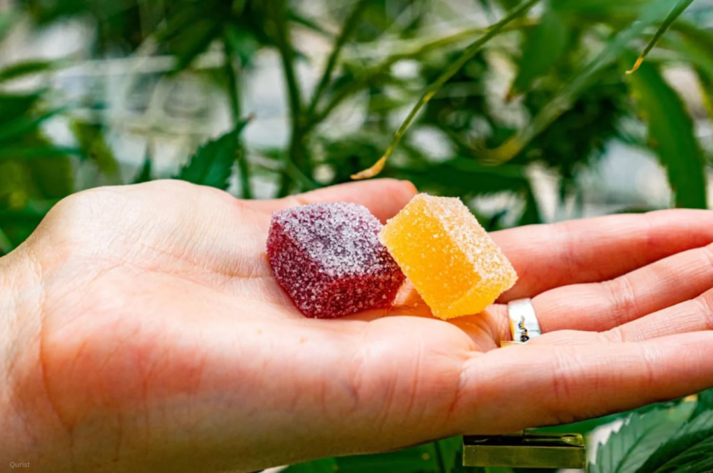 Essential Facts About Mushroom Gummies Oregon Regulations